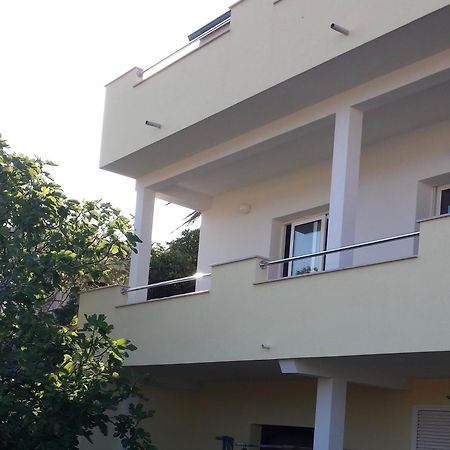 Apartmani Isabella - Ilda Radonic 젤사 외부 사진