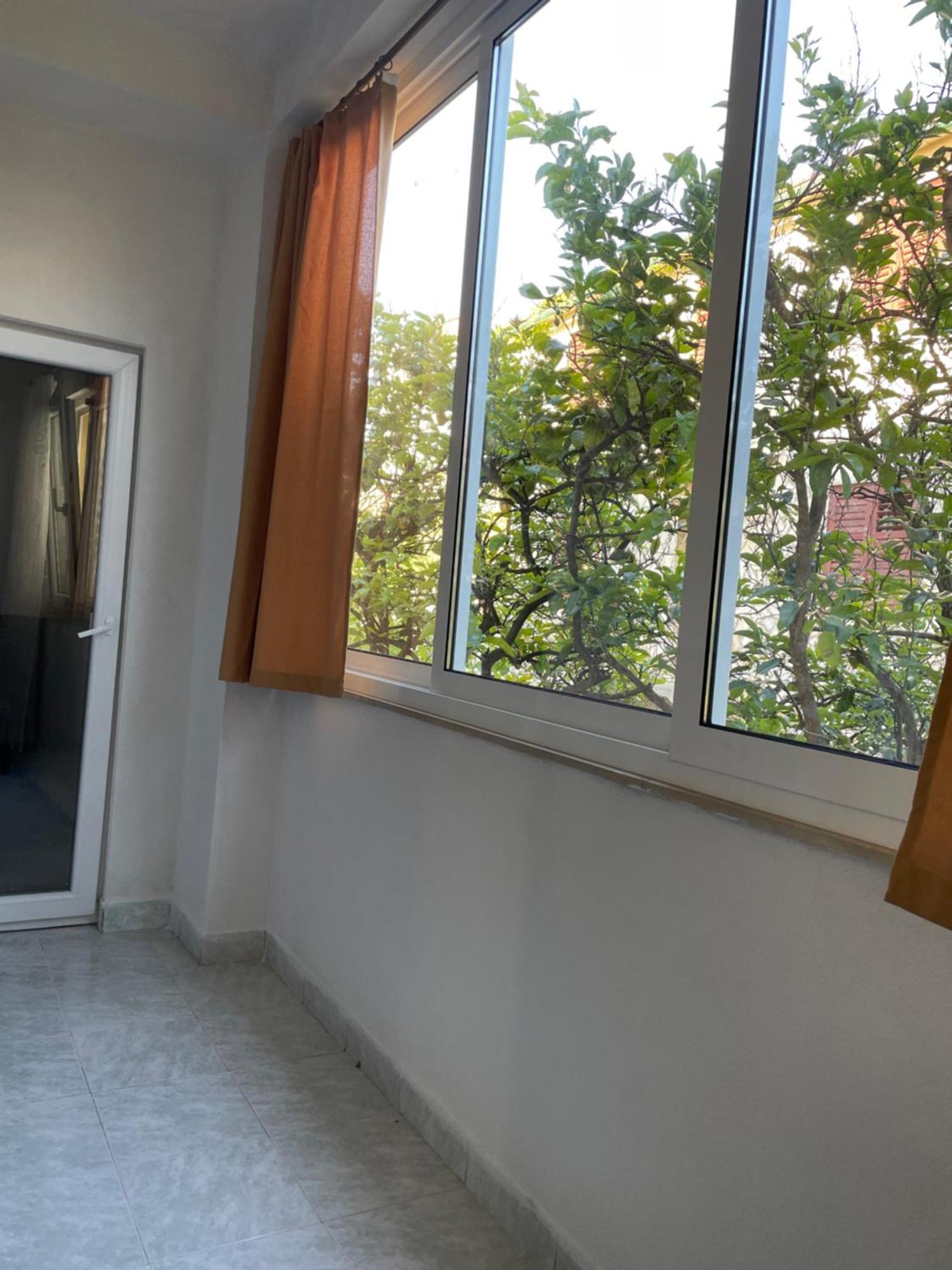 Apartmani Isabella - Ilda Radonic 젤사 외부 사진