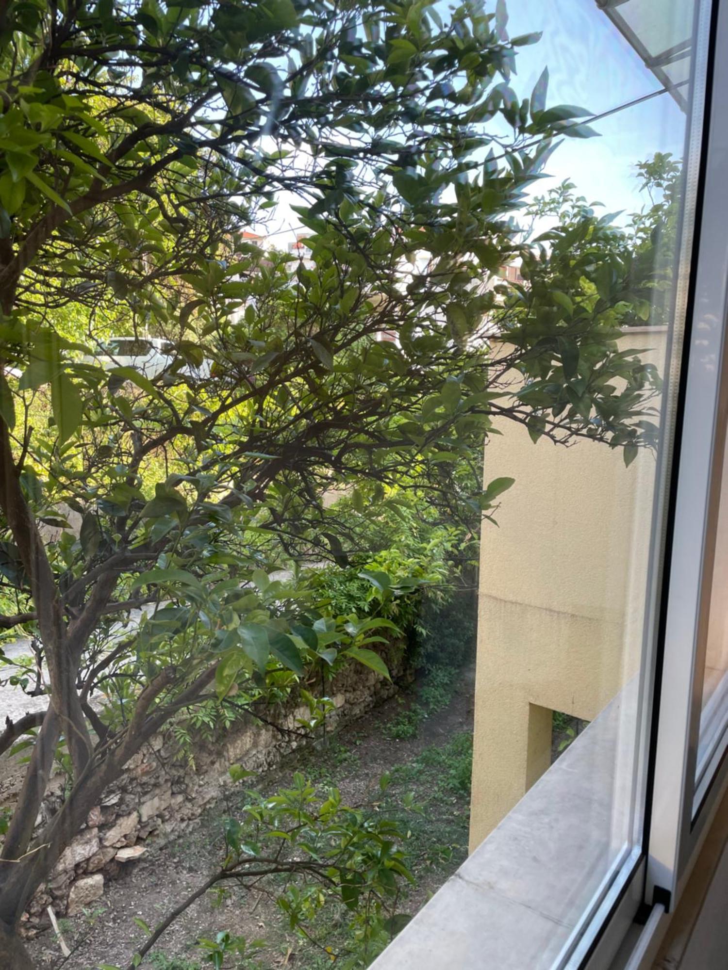 Apartmani Isabella - Ilda Radonic 젤사 외부 사진